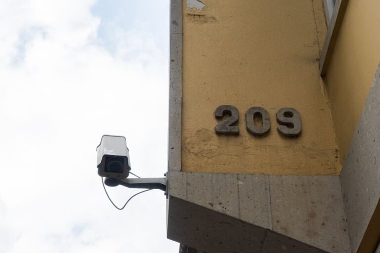 ip address lookup details summary